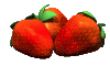 Strawberry Festival!