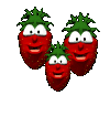 Strawberry Festival!